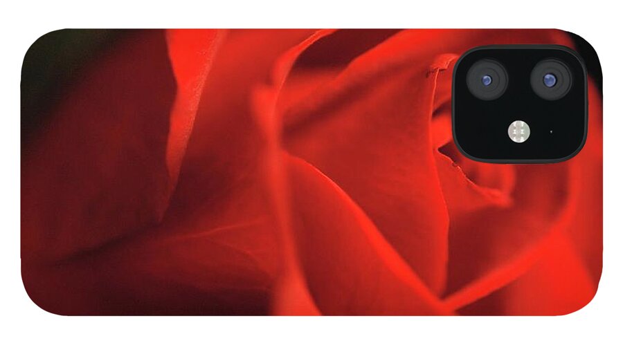 Red Rose With Veins - Phone Case