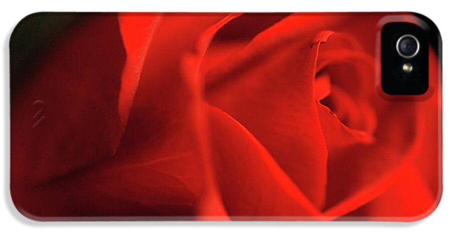 Red Rose With Veins - Phone Case