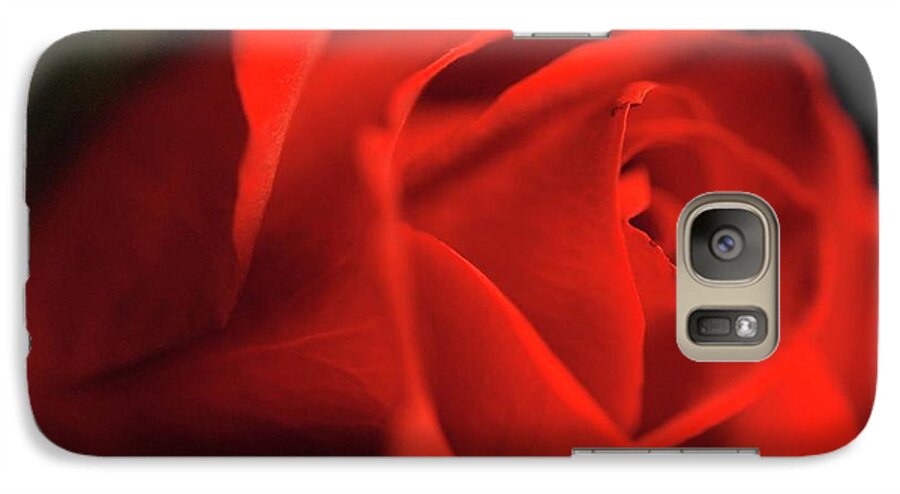 Red Rose With Veins - Phone Case