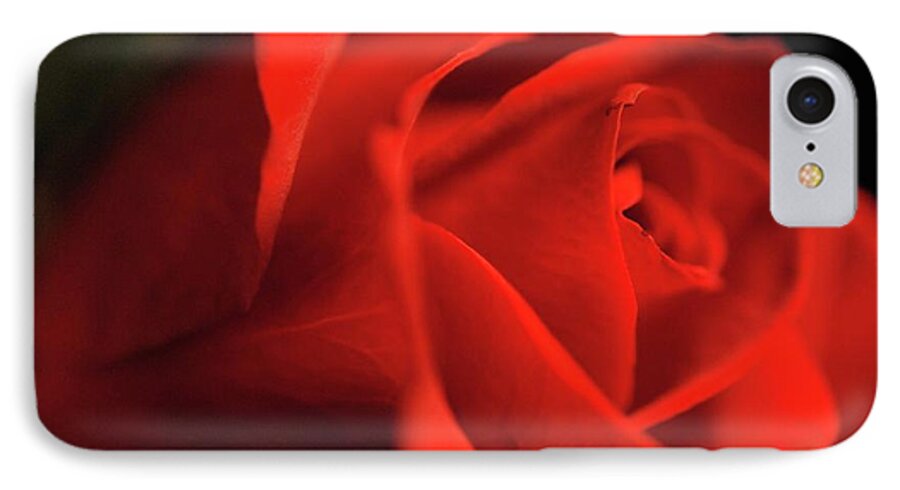 Red Rose With Veins - Phone Case