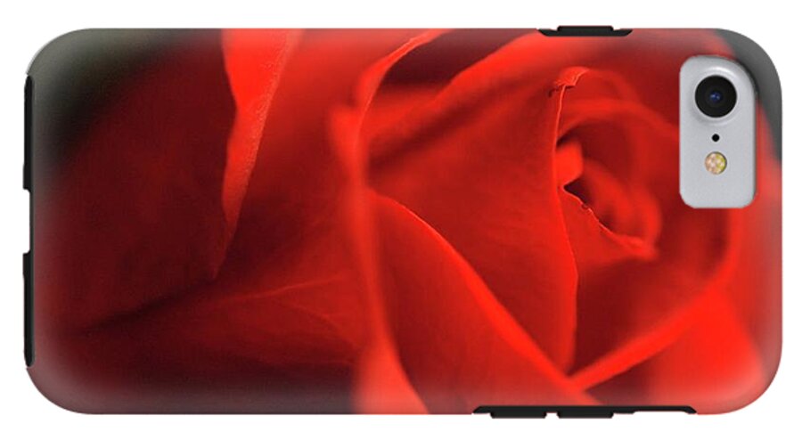 Red Rose With Veins - Phone Case