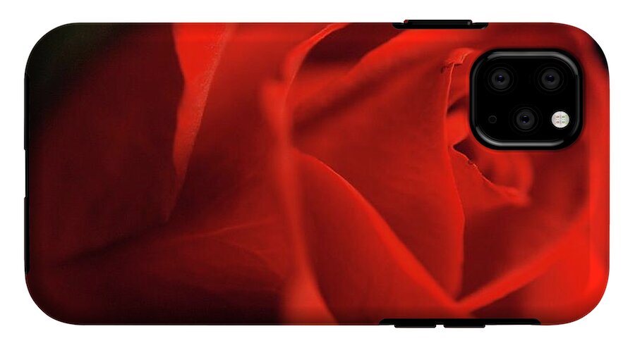 Red Rose With Veins - Phone Case