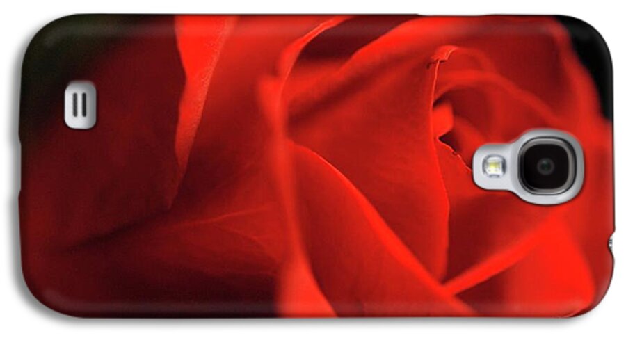 Red Rose With Veins - Phone Case