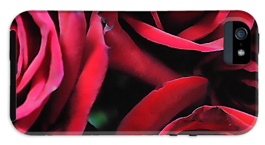 Red Roses 4 - Phone Case