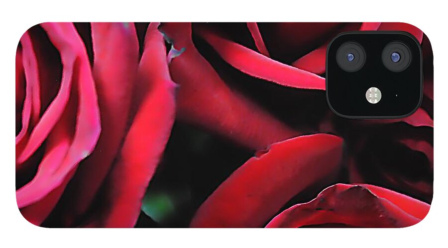 Red Roses 4 - Phone Case