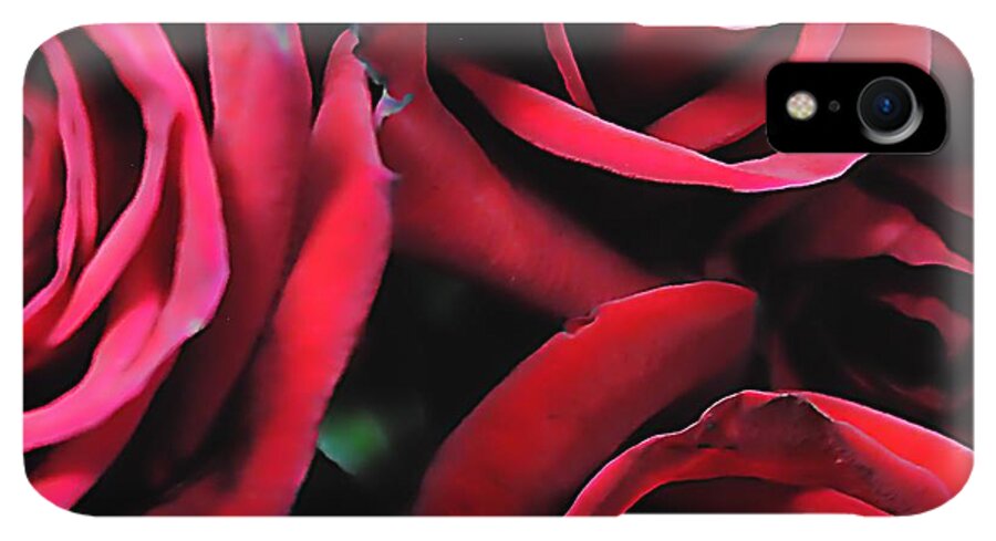 Red Roses 4 - Phone Case