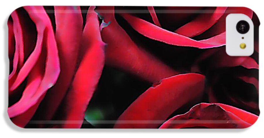 Red Roses 4 - Phone Case