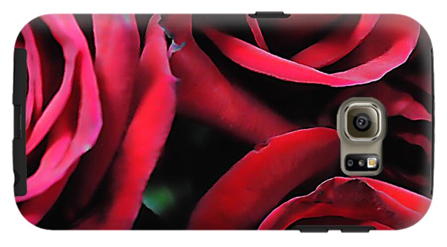 Red Roses 4 - Phone Case