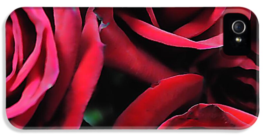 Red Roses 4 - Phone Case
