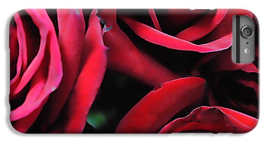 Red Roses 4 - Phone Case