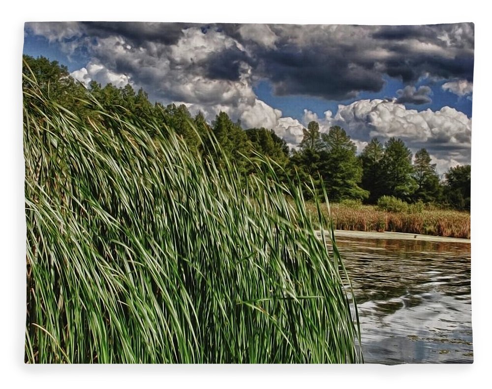 Reeds Along a Campground Lake - Blanket