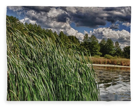 Reeds Along a Campground Lake - Blanket