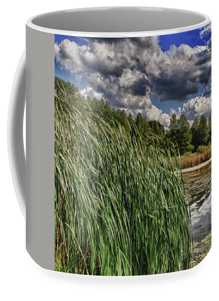 Reeds Along a Campground Lake - Mug