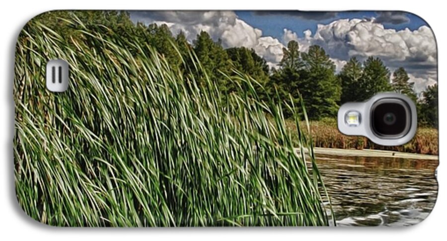 Reeds Along a Campground Lake - Phone Case