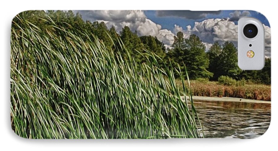 Reeds Along a Campground Lake - Phone Case