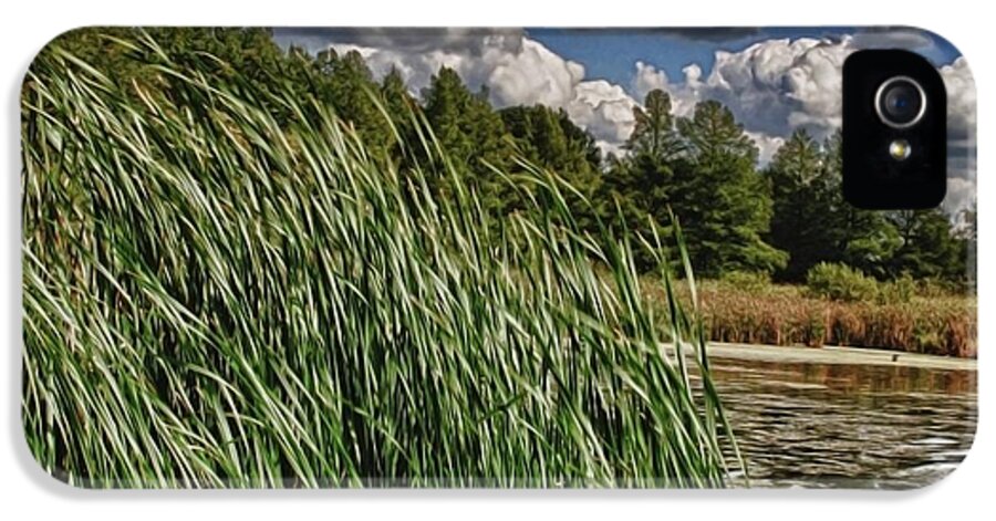 Reeds Along a Campground Lake - Phone Case
