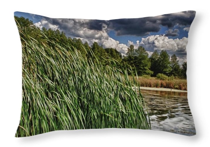 Reeds Along a Campground Lake - Throw Pillow