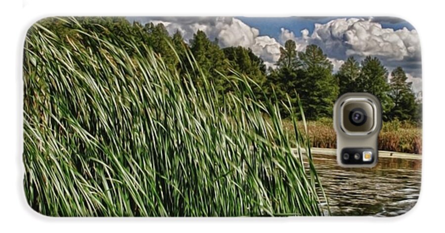Reeds Along a Campground Lake - Phone Case