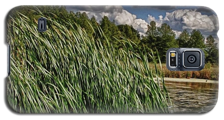 Reeds Along a Campground Lake - Phone Case