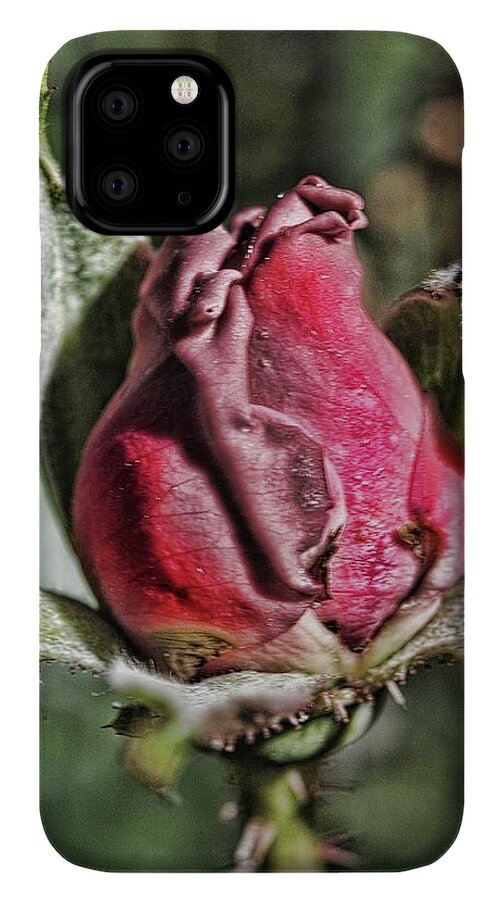 Rosebud In The Morning - Phone Case