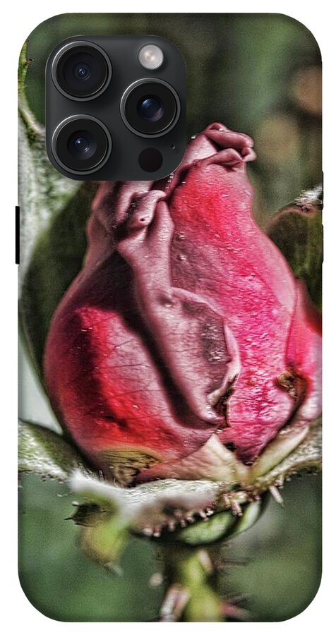 Rosebud In The Morning - Phone Case
