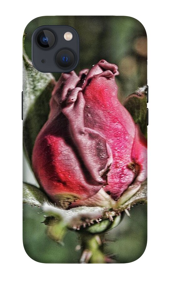 Rosebud In The Morning - Phone Case