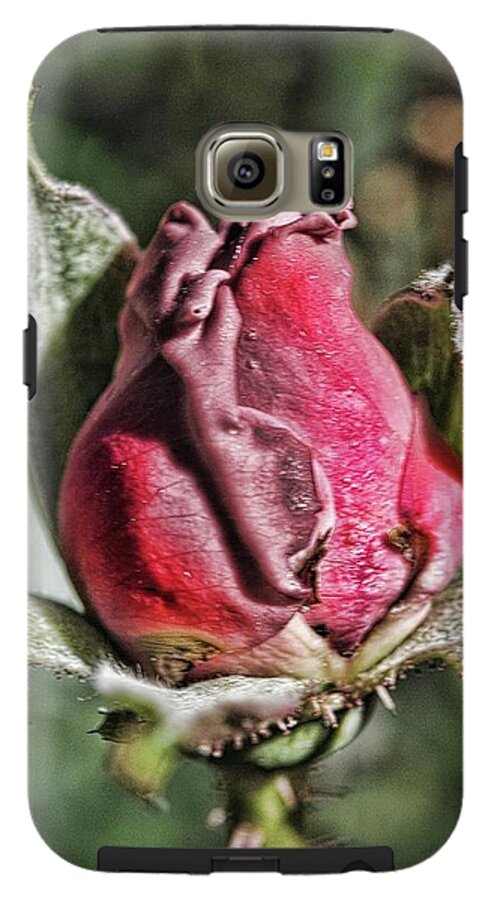 Rosebud In The Morning - Phone Case