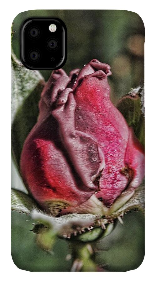 Rosebud In The Morning - Phone Case