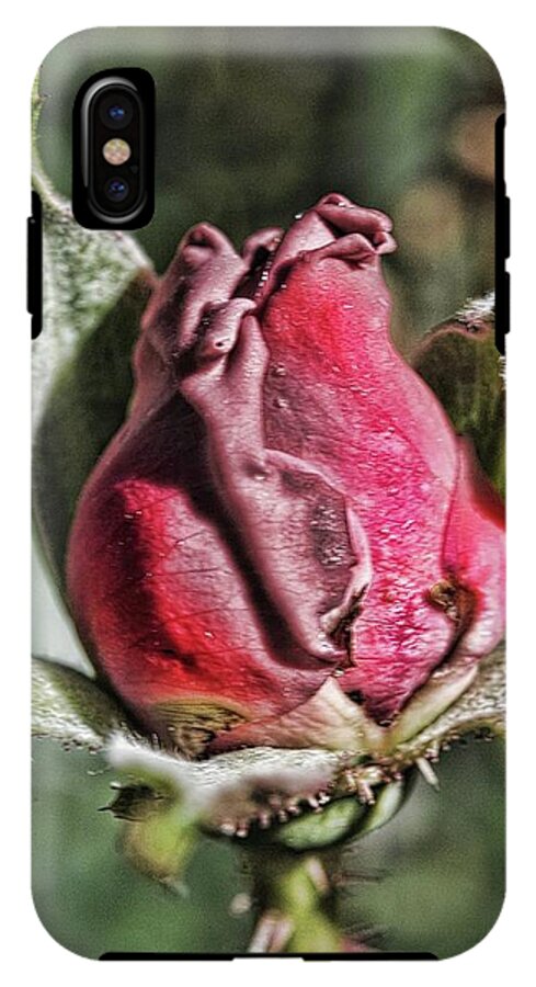 Rosebud In The Morning - Phone Case