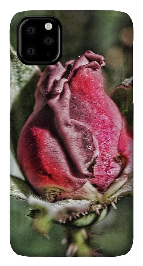 Rosebud In The Morning - Phone Case