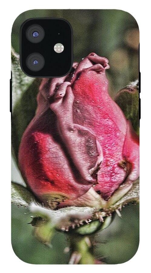 Rosebud In The Morning - Phone Case