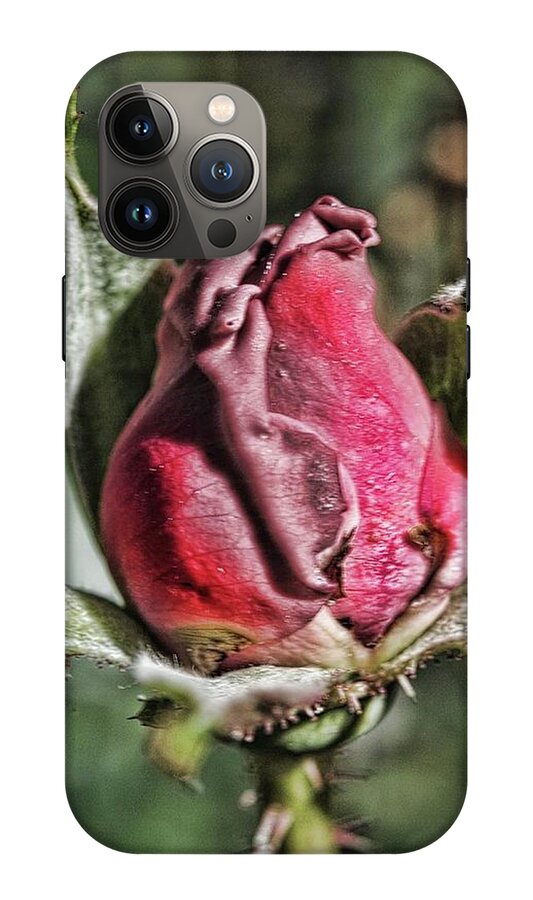 Rosebud In The Morning - Phone Case