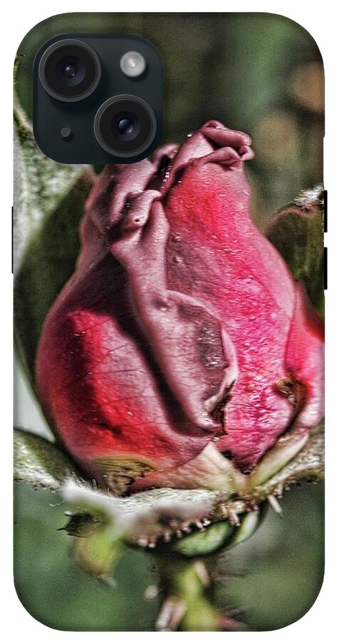 Rosebud In The Morning - Phone Case