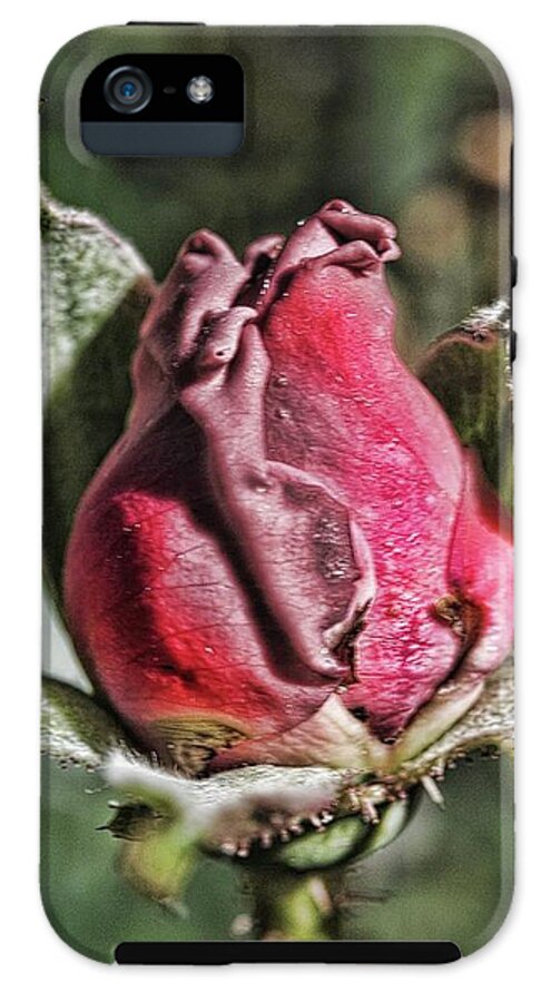 Rosebud In The Morning - Phone Case