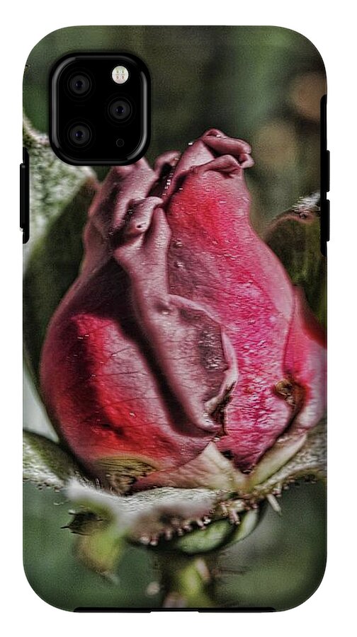 Rosebud In The Morning - Phone Case