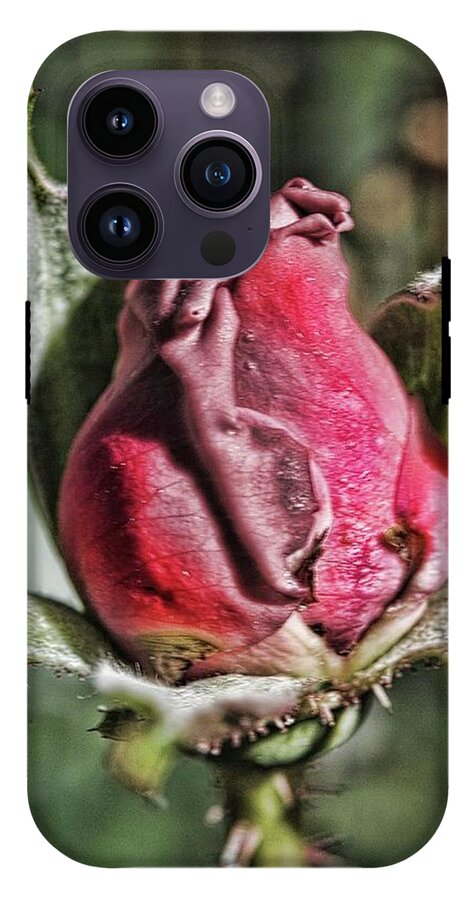 Rosebud In The Morning - Phone Case
