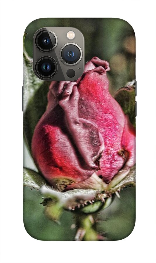 Rosebud In The Morning - Phone Case