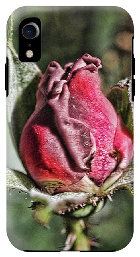 Rosebud In The Morning - Phone Case