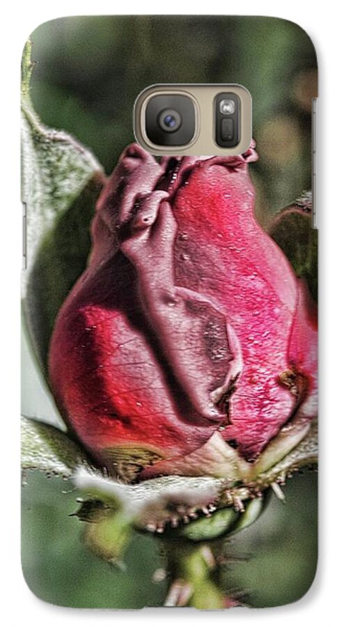 Rosebud In The Morning - Phone Case