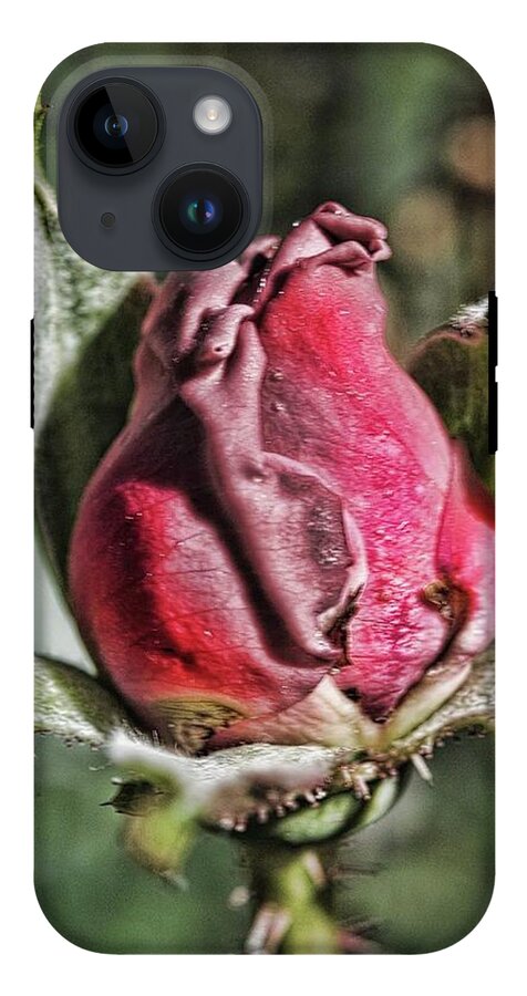 Rosebud In The Morning - Phone Case