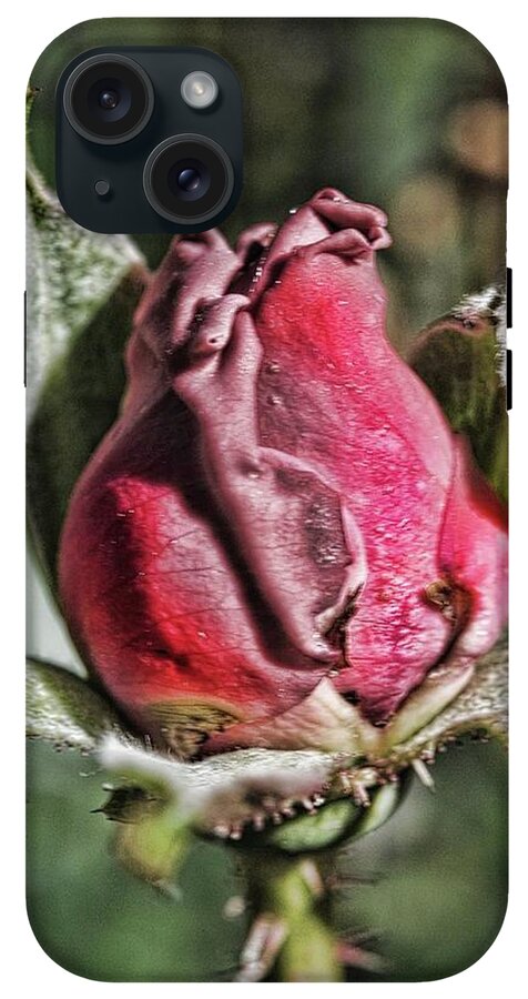 Rosebud In The Morning - Phone Case