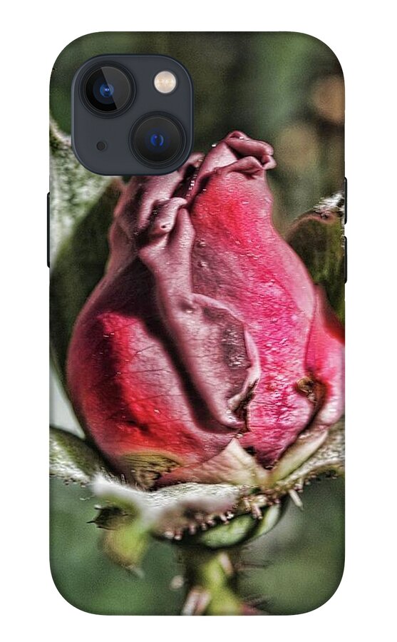 Rosebud In The Morning - Phone Case