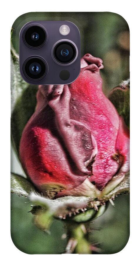 Rosebud In The Morning - Phone Case