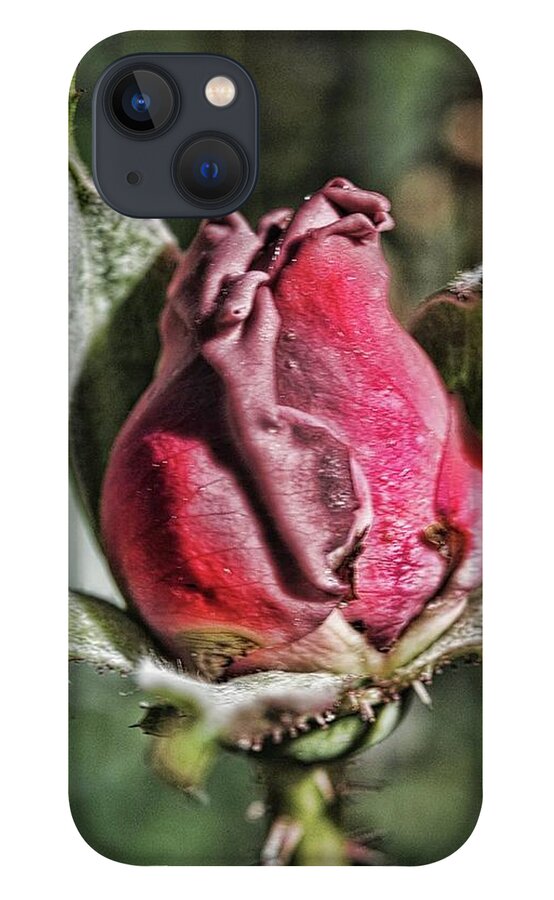 Rosebud In The Morning - Phone Case