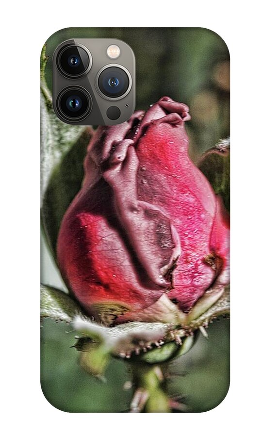 Rosebud In The Morning - Phone Case