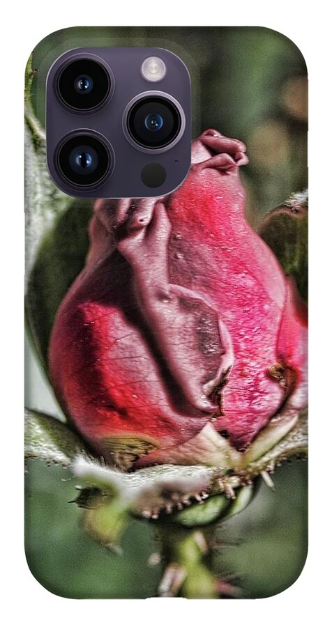 Rosebud In The Morning - Phone Case