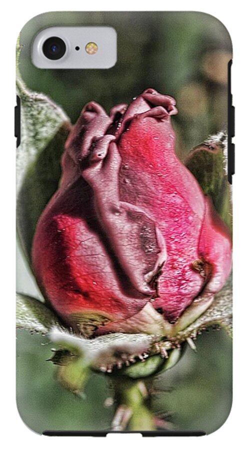 Rosebud In The Morning - Phone Case