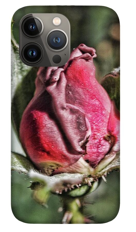 Rosebud In The Morning - Phone Case