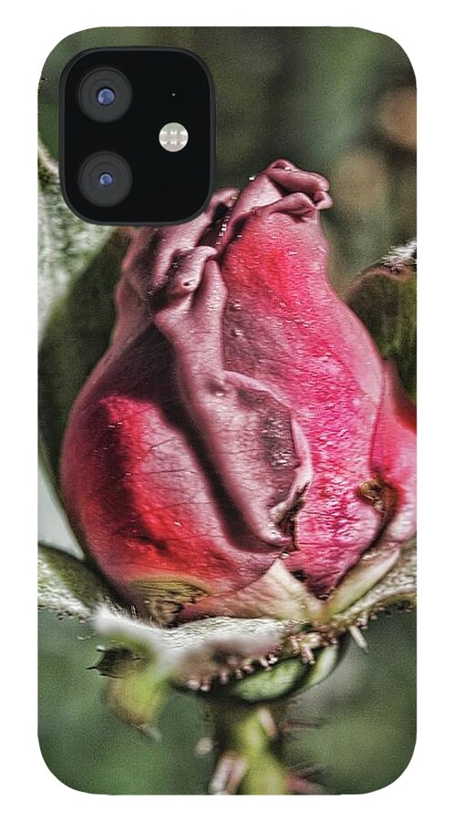 Rosebud In The Morning - Phone Case