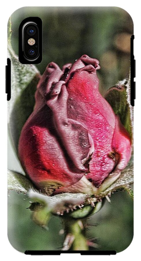 Rosebud In The Morning - Phone Case